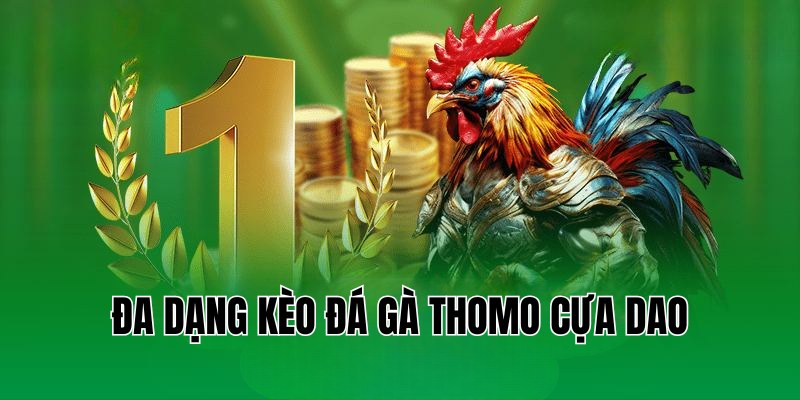 Đa dạng nhiều kèo cược đá gà Thomo cựa dao hấp dẫn