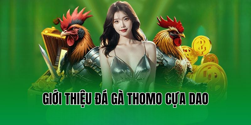 Giới thiệu bộ môn đá gà cựa dao Thomo siêu độc đáo