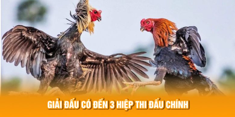 Giải đấu có đến 3 hiệp chính 