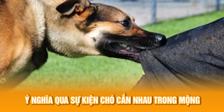 Ý nghĩa qua sự kiện chó cắn nhau trong mộng 